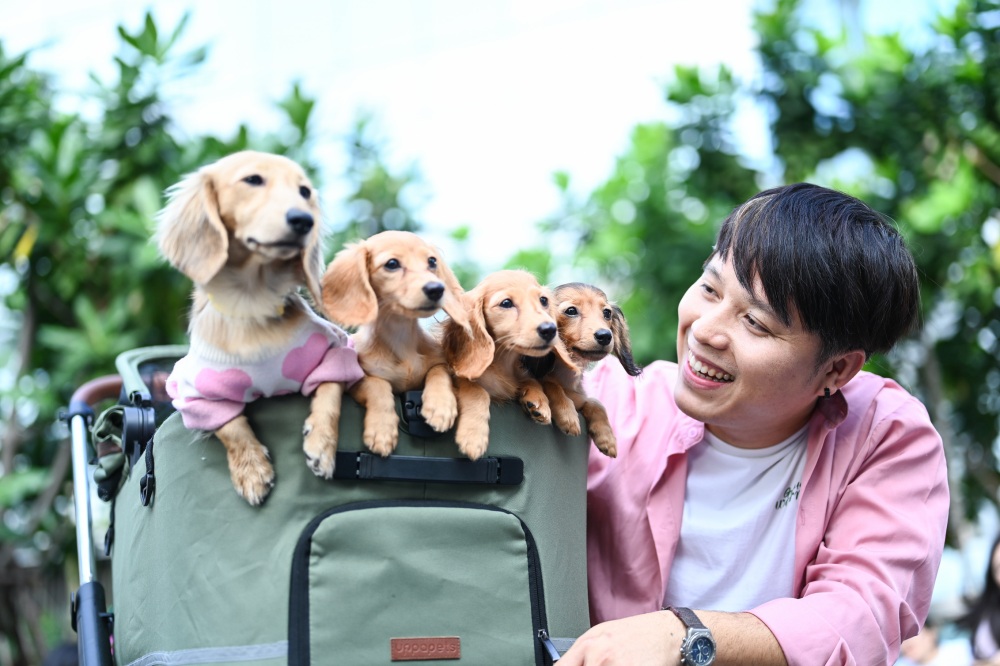 PET PARQ PLAY DAY, เดอะ ปาร์ค, ฉลองวันสตรีสากล, สัตว์เลี้ยงแสนรัก, บ้านและสวน PETS, Prep Food 101 by Storge, เดอะ ปาร์ค ไลฟ์, พื้นที่ที่เชื่อมโยงธรรมชาติ