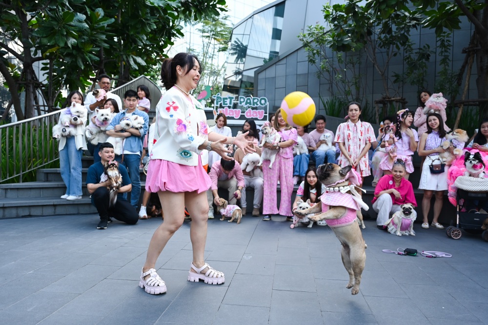 PET PARQ PLAY DAY, เดอะ ปาร์ค, ฉลองวันสตรีสากล, สัตว์เลี้ยงแสนรัก, บ้านและสวน PETS, Prep Food 101 by Storge, เดอะ ปาร์ค ไลฟ์, พื้นที่ที่เชื่อมโยงธรรมชาติ