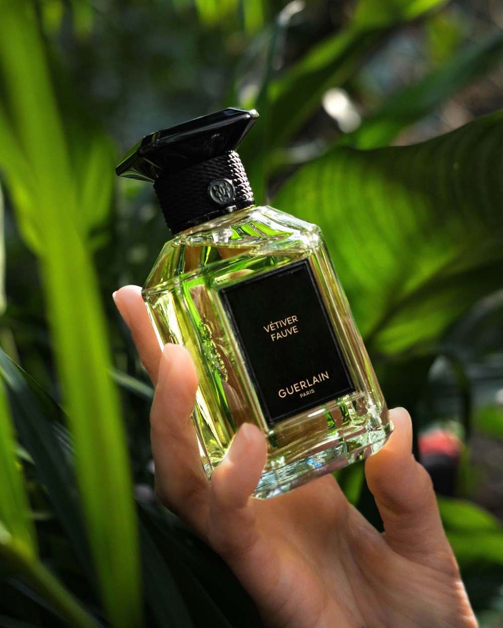 ความหอมเลอค่าน่าค้นหา, GUERLAIN VÉTIVER FAUVE, กลิ่นใหม่ล่าสุด, วรรณกรรมอมตะ, The Jungle Book, ความสดชื่นแรกของผืนป่า, ยามรุ่งอรุณ, วิทสา ต.แสงจันทร์, กลิ่นป่าของหญ้าแฝก