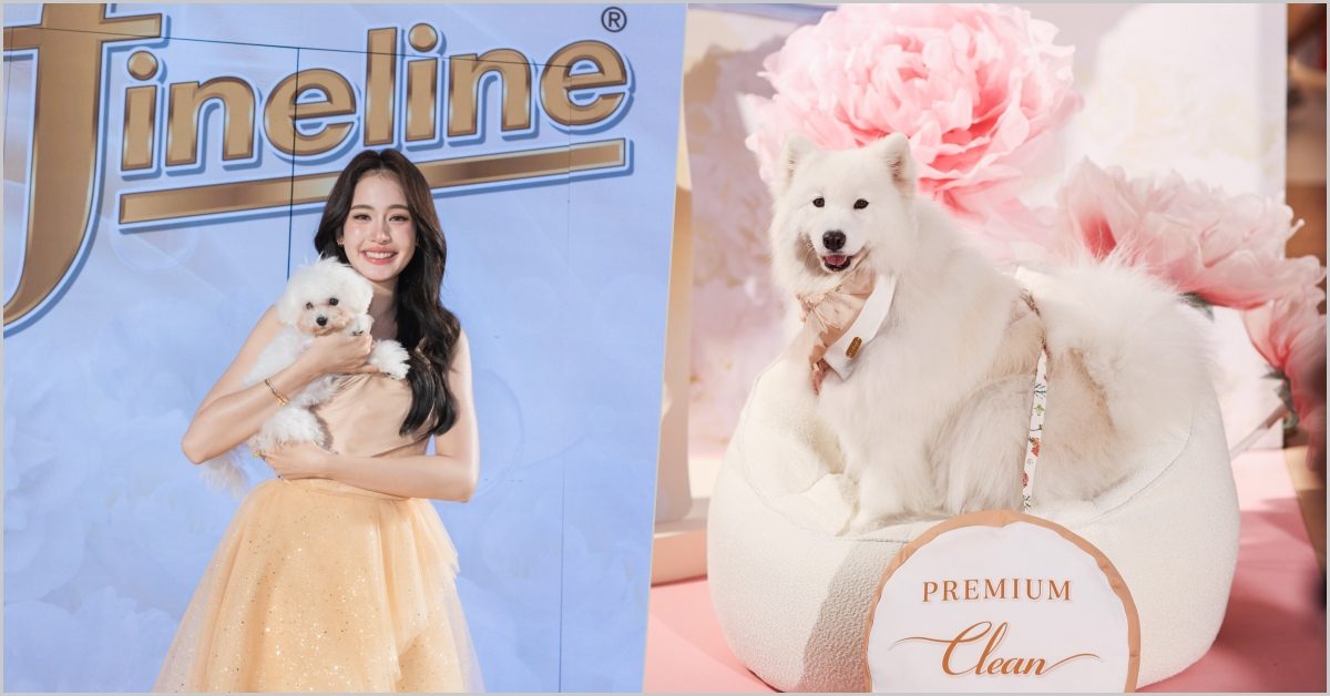 Fineline Premium Care Series, ไฟน์ไลน์ พรีเมียม แคร์ ซีรีส์, ตอกย้ำเบอร์ 1 แบรนด์ไทย, พลิกโฉมตลาดผลิตภัณฑ์ดูแลผ้า, Pet Lover, โบว์ เมลดา, บริษัท นีโอ คอร์ปอเรท จำกัด