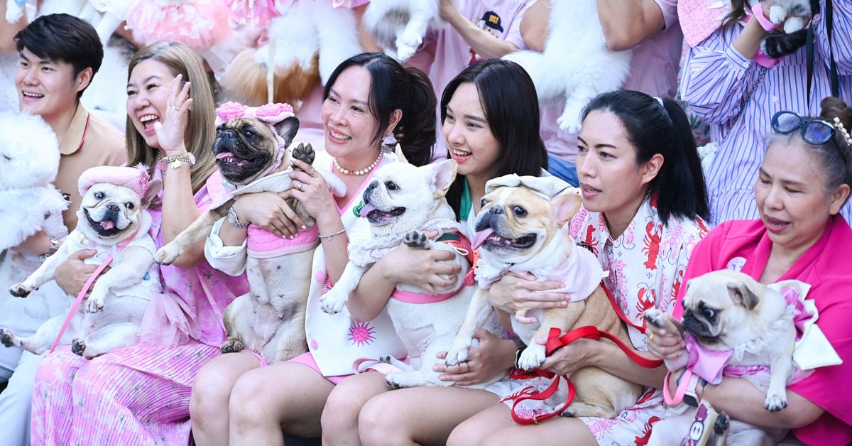 PET PARQ PLAY DAY, เดอะ ปาร์ค, ฉลองวันสตรีสากล, สัตว์เลี้ยงแสนรัก, บ้านและสวน PETS, Prep Food 101 by Storge, เดอะ ปาร์ค ไลฟ์, พื้นที่ที่เชื่อมโยงธรรมชาติ